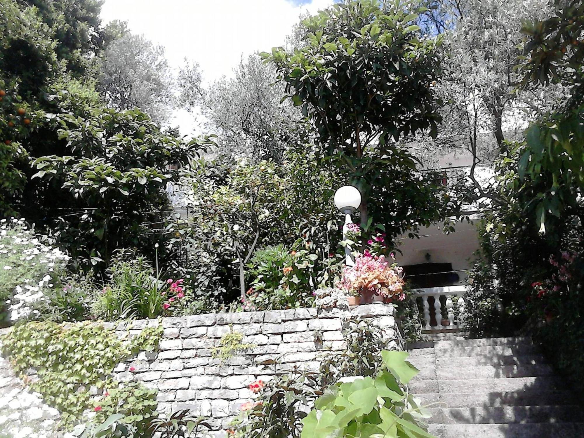 Oaza Guest House Свети-Стефан Экстерьер фото