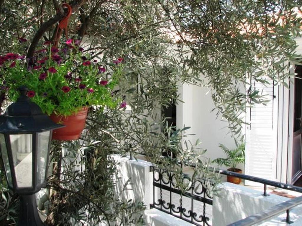 Oaza Guest House Свети-Стефан Экстерьер фото